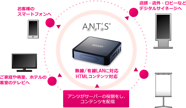 アンツがサーバーの役割をし、コンテンツを配信